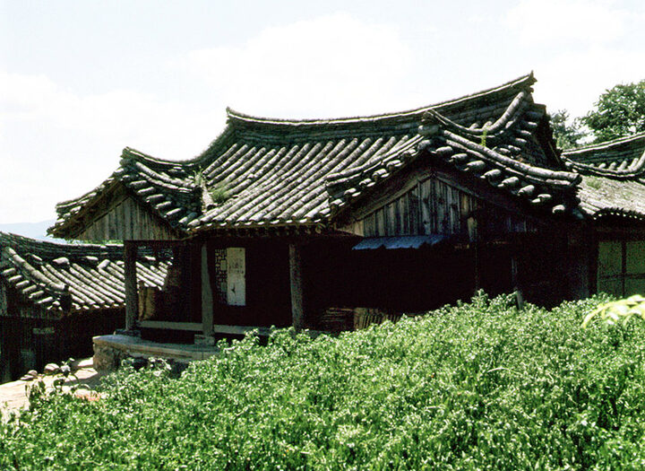 향단