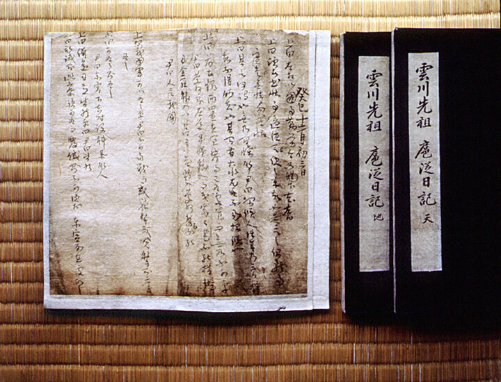 김용 호종일기(金涌 扈從日記)