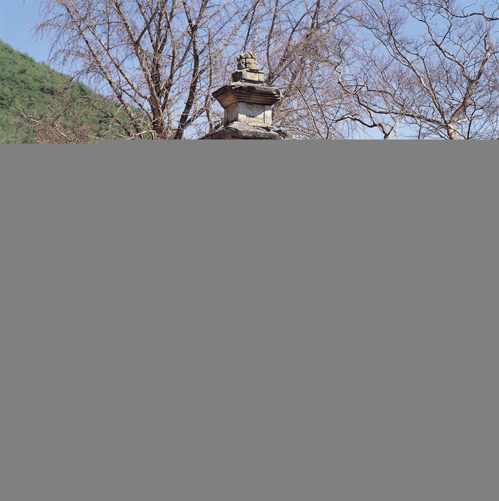 군위 지보사 삼층석탑