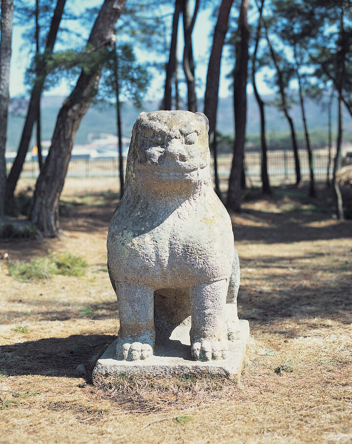 사자상 1