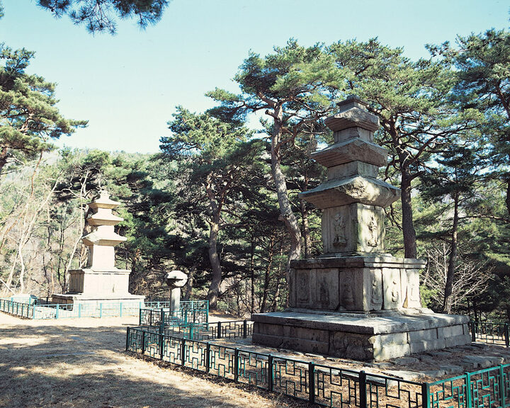 경주 원원사지 동ㆍ서 삼층석탑 전경(서→동)