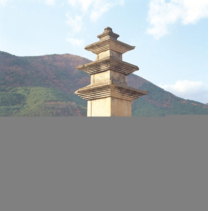산청 단속사지 서 삼층석탑