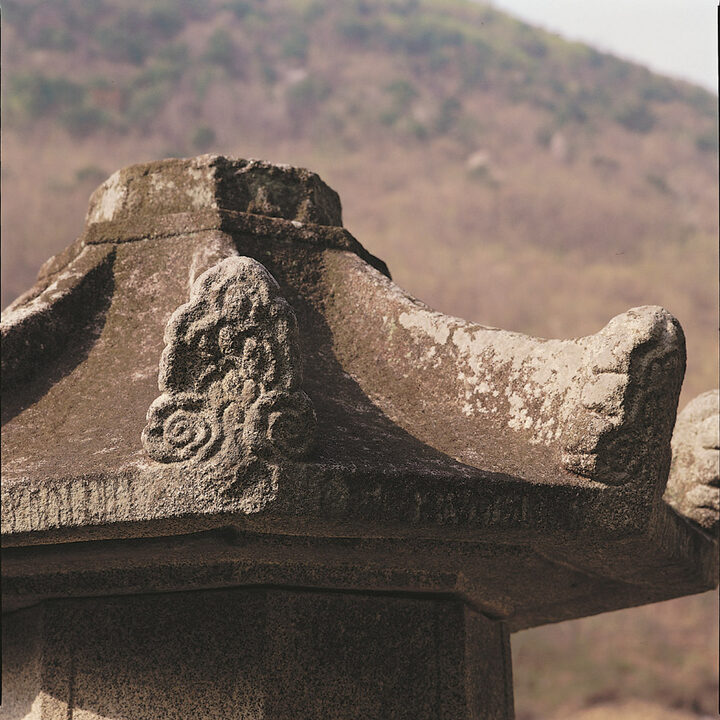 옥개석 귀꽃