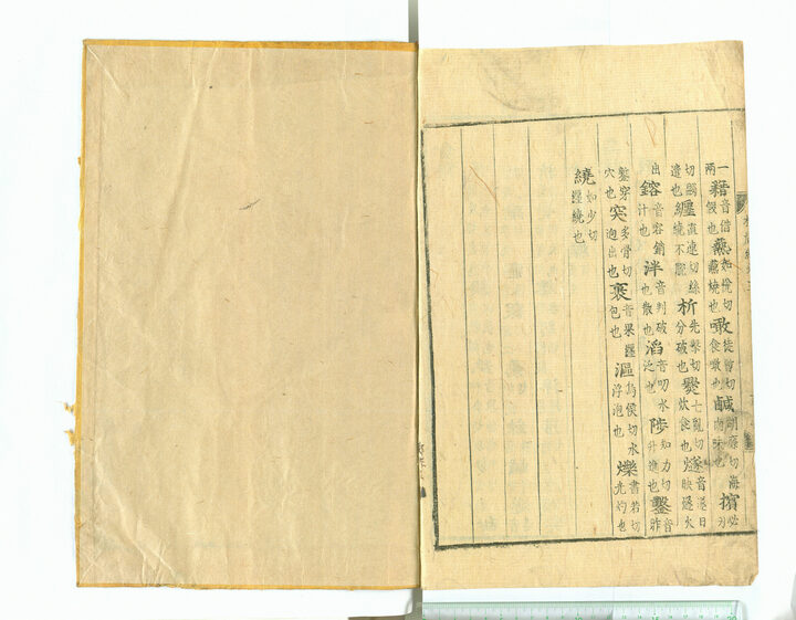 보물 대불여정래밀인수증요의제 보살만행수능엄경(언해) 권3(2011년 국보,보물 지정보고서)
