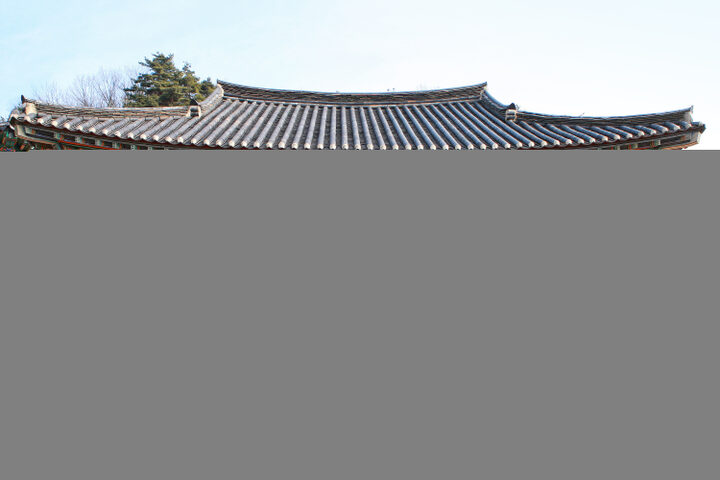 세종 비암사 극락보전 정면
