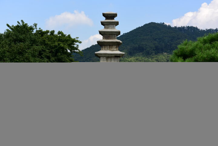 안성 봉업사지 오층석탑_정면 (촬영년도 : 2015년)