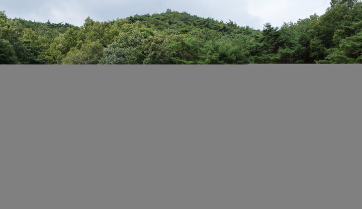 양산 신흥사 대광전_전경3 (촬영년도 : 2015년)
