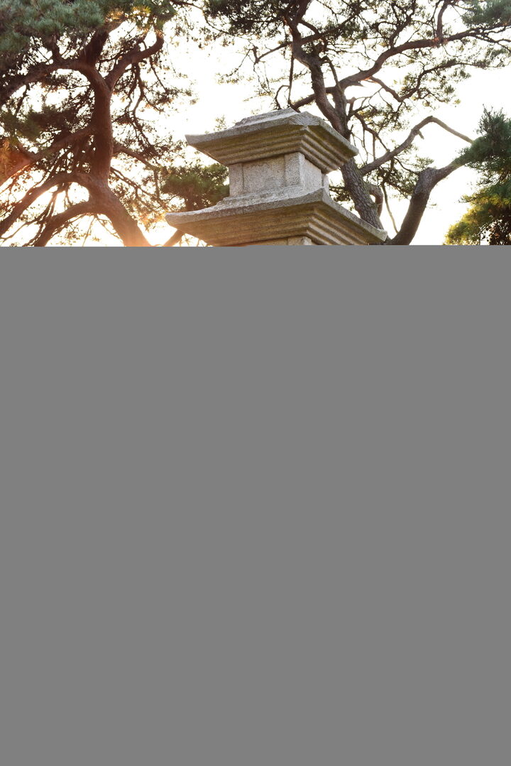 경주 효현동 삼층석탑  (촬영년도 : 2015년)