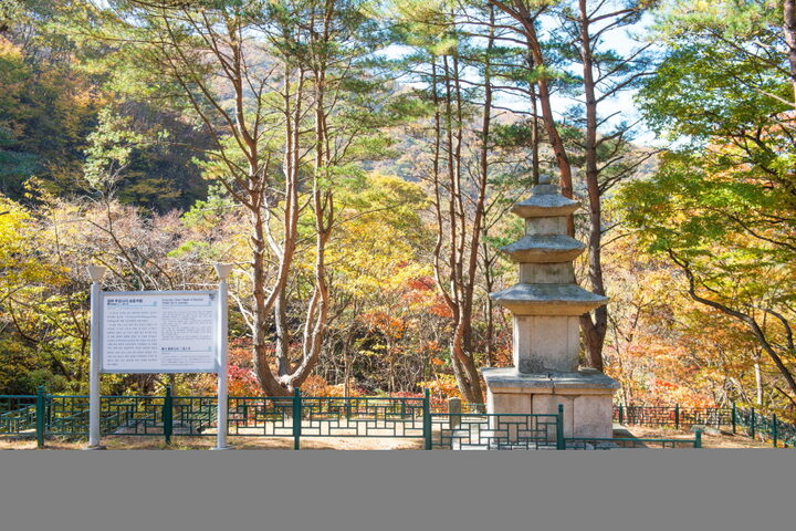 경주 무장사지 삼층석탑_원경 (촬영년도 : 2015년)