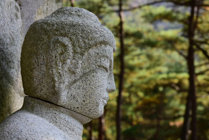 경주 남산 삼릉계 석조여래좌상_좌불두 (촬영년도 : 2015년)