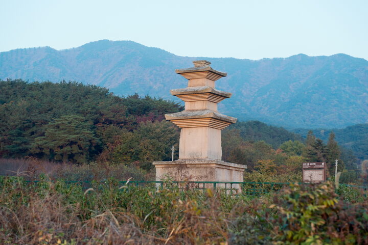 경주 마동 삼층석탑_원경 (촬영년도 : 2015년)