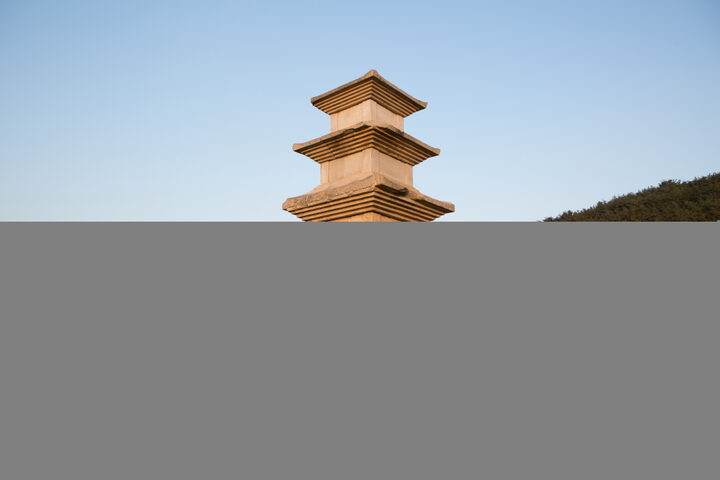 경주 남산 창림사지 삼층석탑_전경4 (촬영년도 : 2015년)