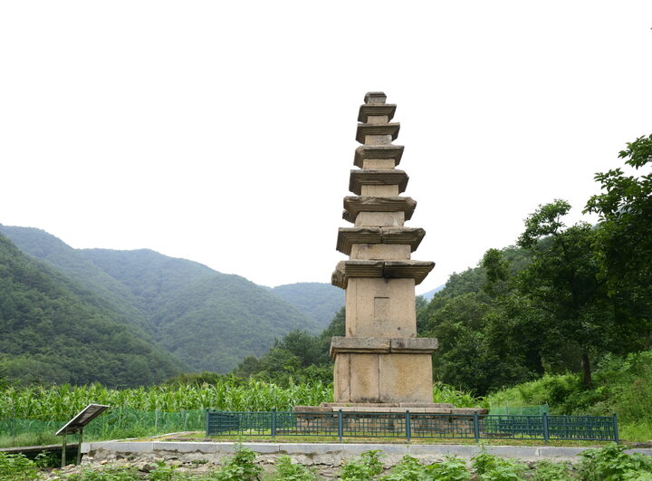 상주 상오리 칠층석탑_전경 (촬영년도 : 2015년)