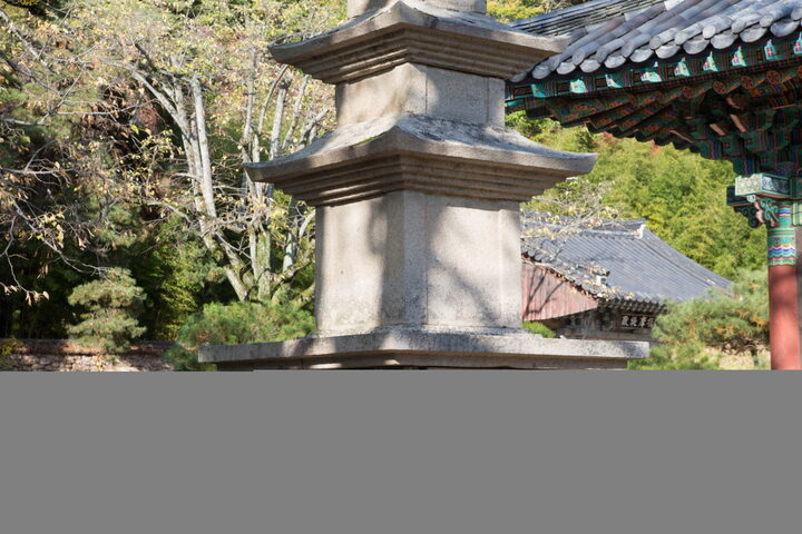 대구 동화사 금당암 동·서 삼층석탑_서 삼층석탑 상대석 (촬영년도 : 2015년)