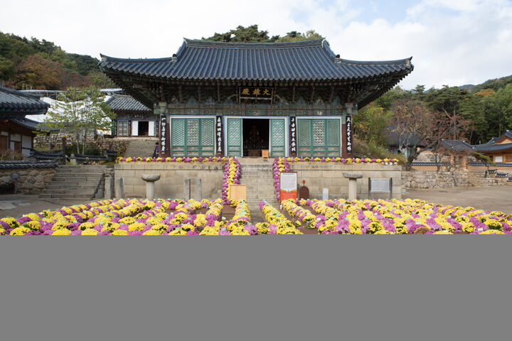 대구 동화사 대웅전_전경 (촬영년도 : 2015년)