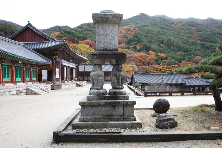 구례 화엄사 원통전 앞 사자탑_뒷편 전경 (촬영년도 : 2015년)
