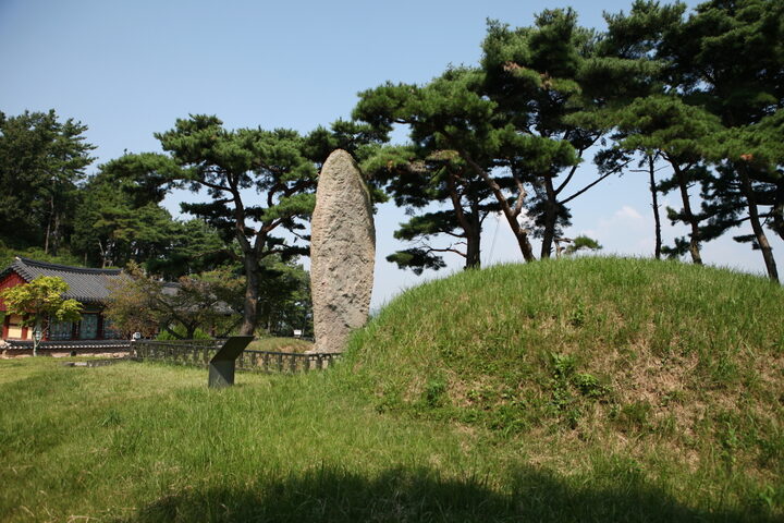 나주 철천리 석조여래입상_뒷전경 (촬영년도 : 2015년)