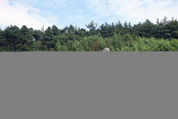 장흥 천관사 삼층석탑_남쪽전경 (촬영년도 : 2015년)