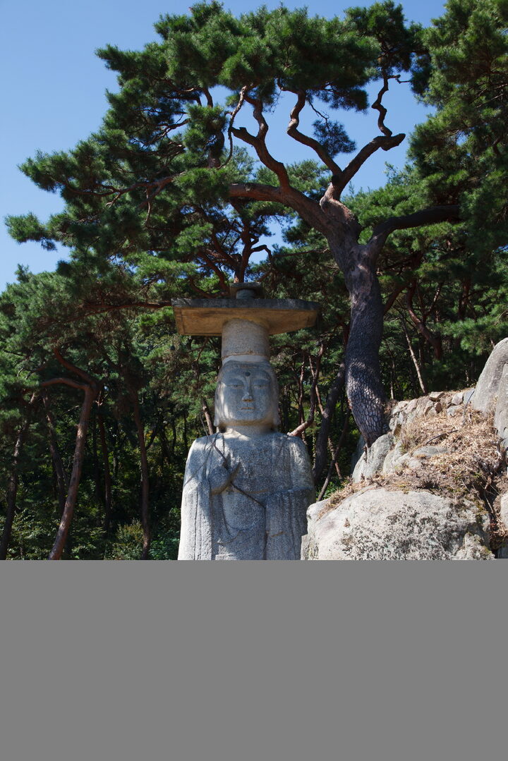 부여 대조사 석조미륵보살입상 (촬영년도 : 2015년)