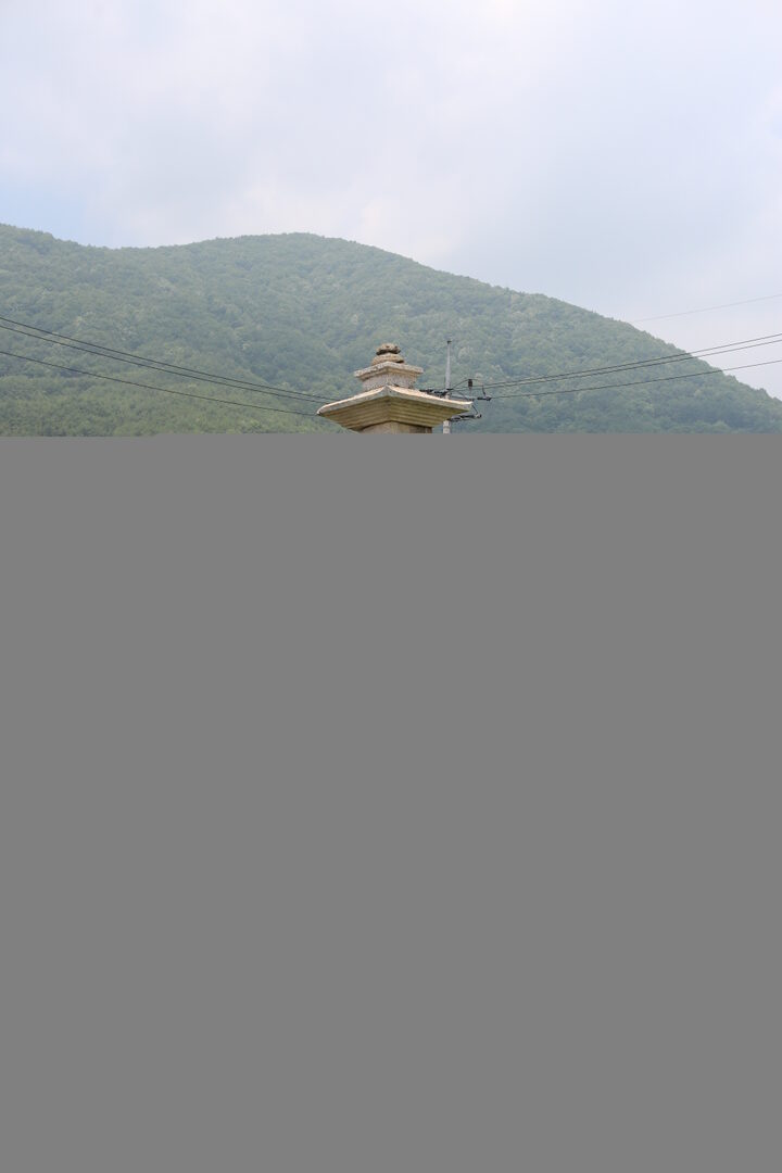 산청 단속사지 서 삼층석탑_남동측면_건축_2016년(자료출처 : 국립문화재연구소)