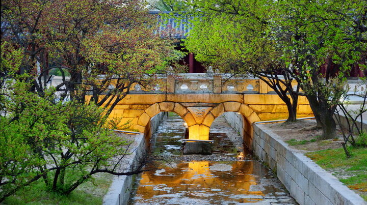 창경궁 옥천교_야경