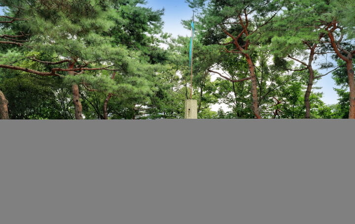 창경궁 풍기대_전경
