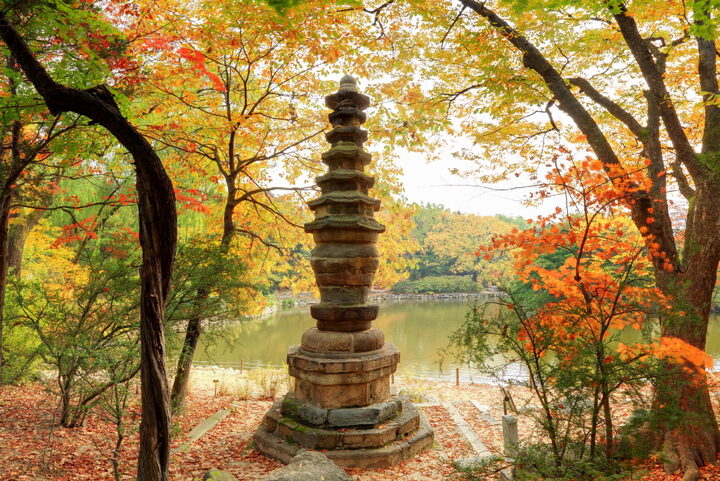 창경궁 팔각칠층석탑_근경