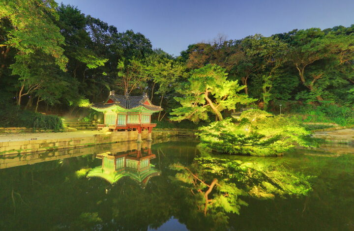 창덕궁 부용정_야경