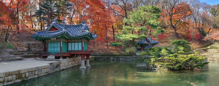 창덕궁 부용정_전경