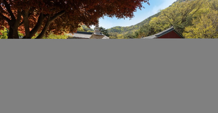 보물_남양주 불암사 목조관음보살좌상_불복장2_신국보보물전 2017-2019 특별전 도록