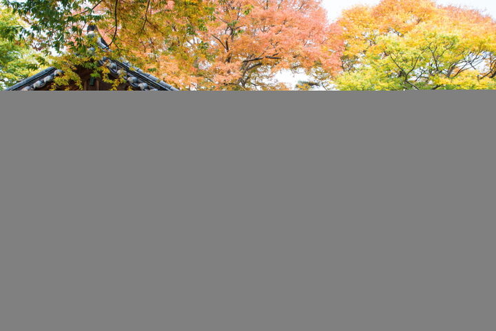 봉화 한수정_뒷면 (촬영년도 : 2015년)