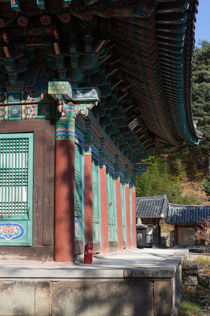 대구 동화사 극락전_기둥 (촬영년도 : 2015년)