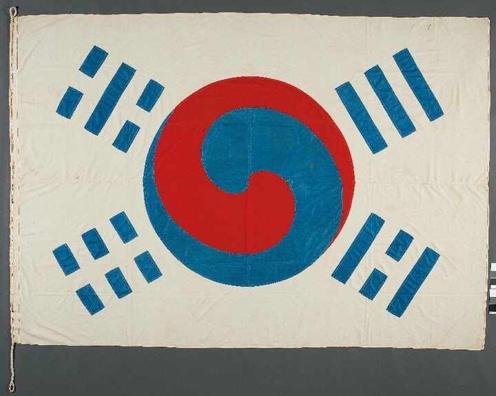 데니 태극기