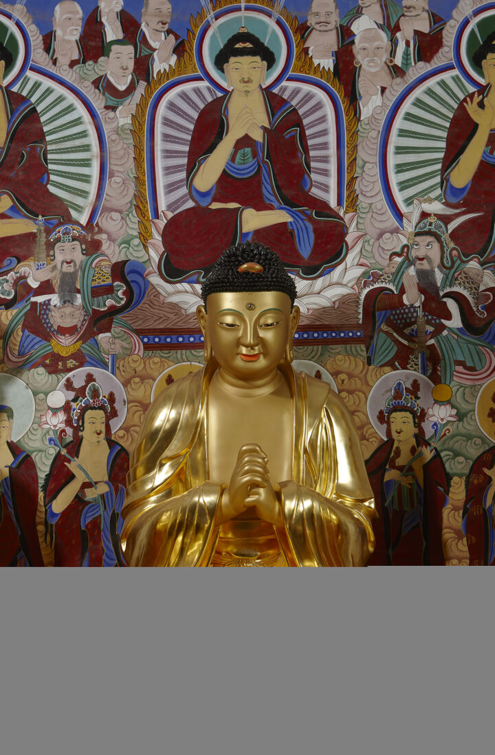 보물_나주 불회사 건칠비로자나불좌상_20160909-03_문화재대관(보물-불교조각1)