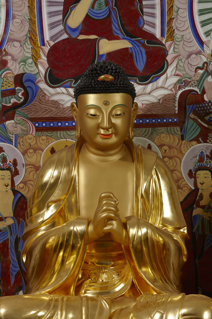 보물_나주 불회사 건칠비로자나불좌상_20160909-04_문화재대관(보물-불교조각1)