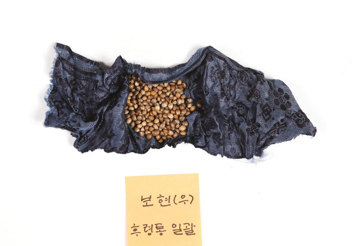 보물_대구 보성선원 목조석가여래삼존좌상 및 복장유물_보현보살좌상(우)후령통일괄02-07곡물류-01_문화재대관(보물-불교조각2)