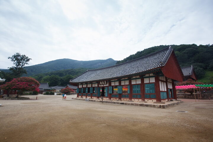 고창 선운사 만세루_전경 (촬영년도 : 2015년)
