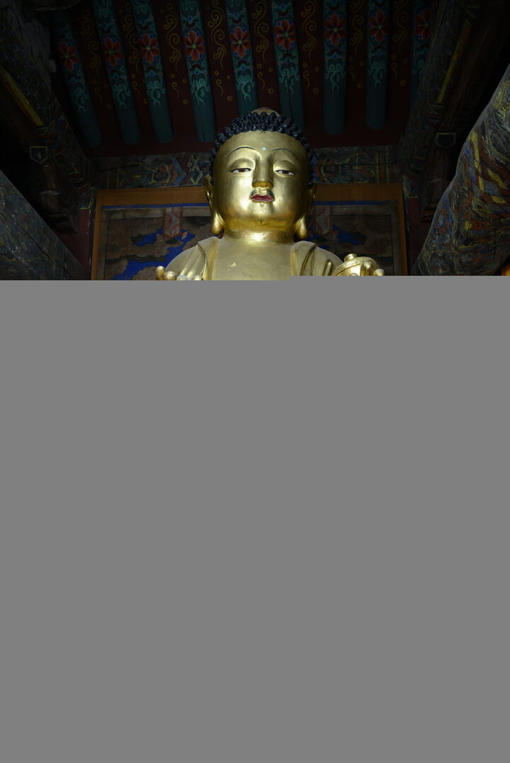 보물 경주 분황사 금동약사여래입상_2022.2.22