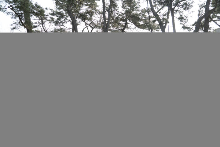 경주 망덕사지 당간지주 정밀실측조사 용역