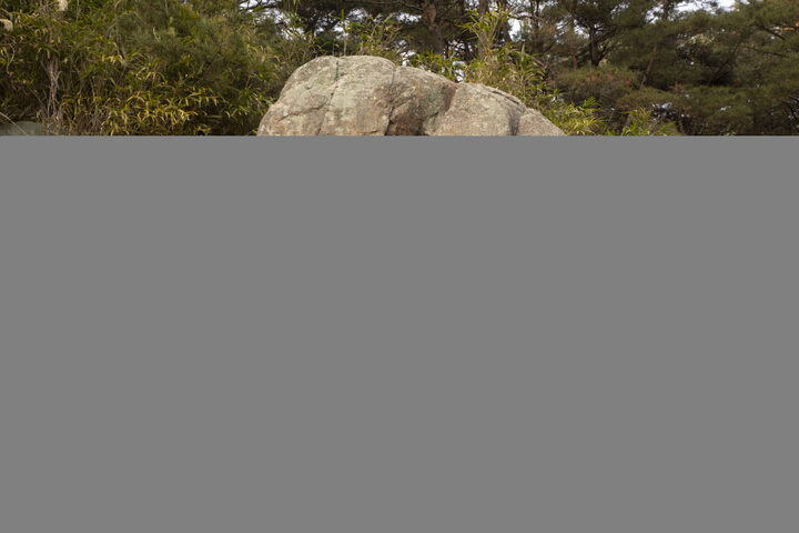 경주 남산 불곡 마애여래좌상 정밀실측 용역