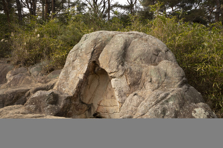 경주 남산 불곡 마애여래좌상 정밀실측 용역