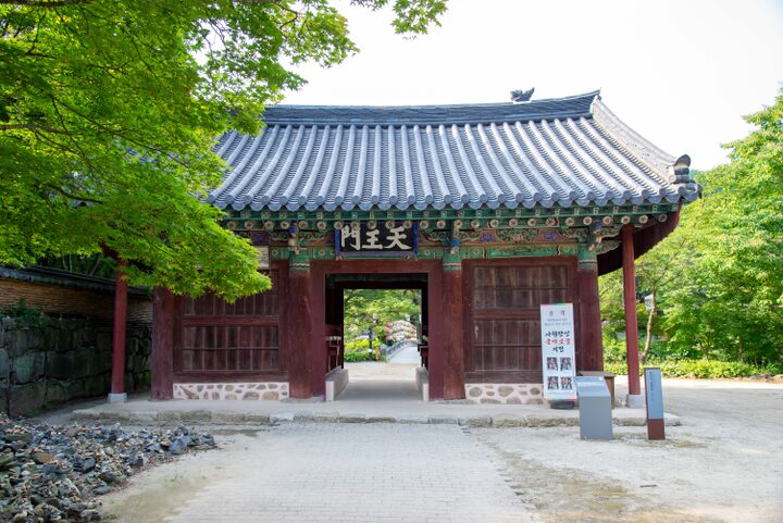 공주 마곡사 소조사천왕상(사진)_천왕문 (촬영년도_2024년)