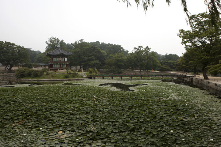 보물 경복궁 향원정(2012년 국보,보물 지정보고서)