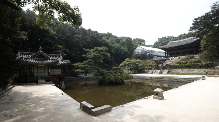 보물 창덕궁 부용전(2012년 국보,보물 지정보고서)