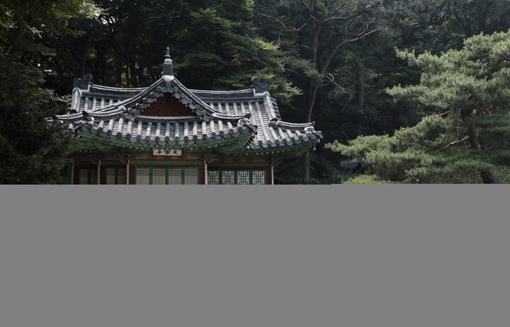 보물 창덕궁 부용전(2012년 국보,보물 지정보고서)