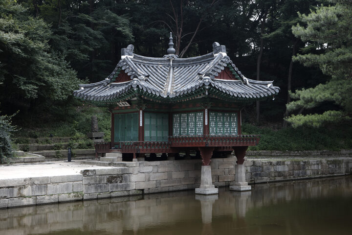 보물 창덕궁 부용전(2012년 국보,보물 지정보고서)