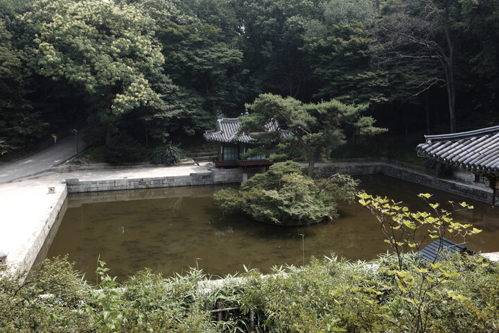 보물 창덕궁 부용전(2012년 국보,보물 지정보고서)
