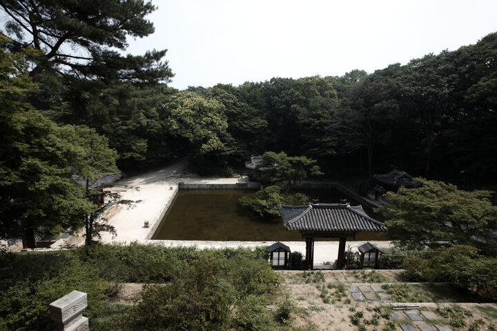보물 창덕궁 부용전(2012년 국보,보물 지정보고서)