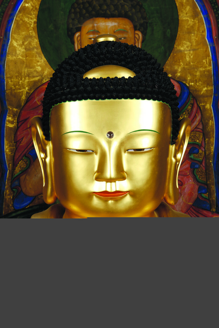 보물 강화 전등사 목조석가여래삼불좌상(2012년 국보,보물 지정보고서)