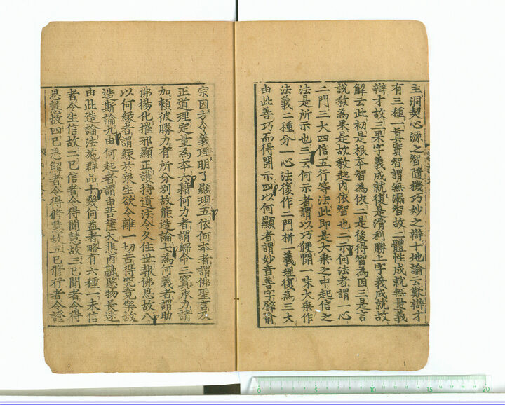 보물 대승기신론의기 권상,하(2010년 국보,보물 지정보고서)